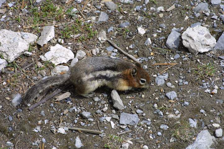 Canada 079.jpg